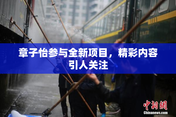 章子怡参与全新项目，精彩内容引人关注