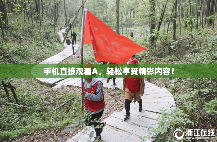 手机直接观看A，轻松享受精彩内容！