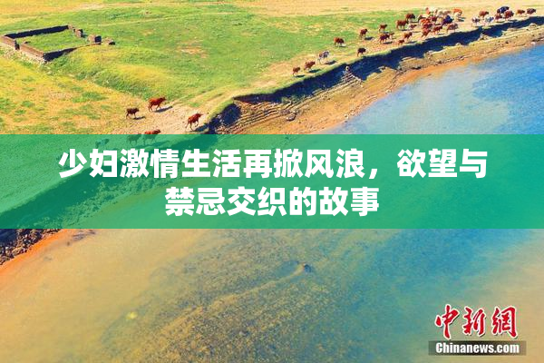 少妇激情生活再掀风浪，欲望与禁忌交织的故事