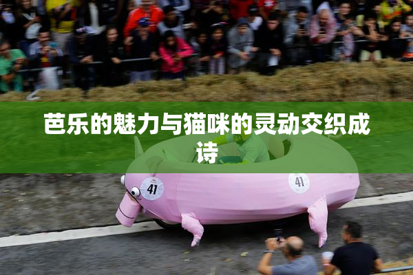 芭乐的魅力与猫咪的灵动交织成诗