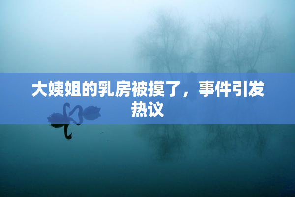 大姨姐的乳房被摸了，事件引发热议