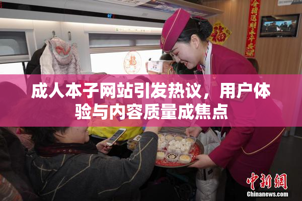 成人本子网站引发热议，用户体验与内容质量成焦点
