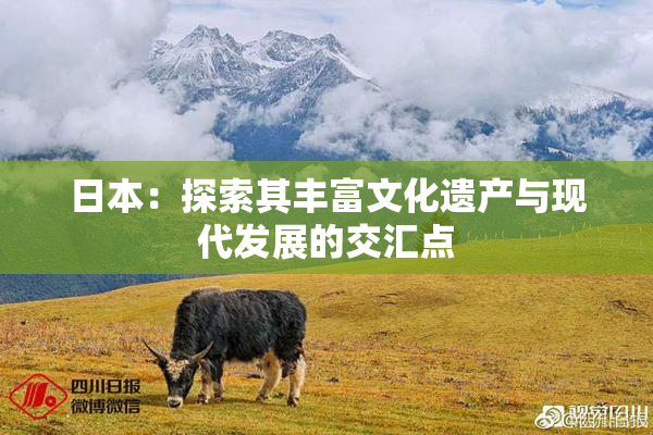 日本：探索其丰富文化遗产与现代发展的交汇点