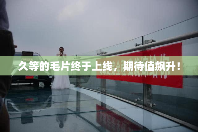 久等的毛片终于上线，期待值飙升！