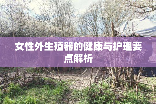女性外生殖器的健康与护理要点解析