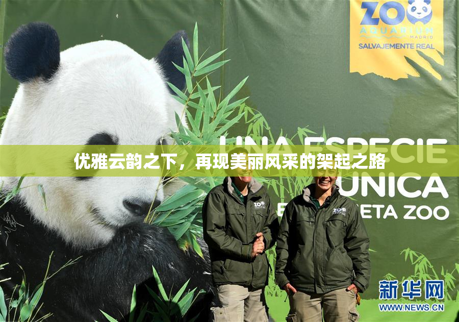 优雅云韵之下，再现美丽风采的架起之路