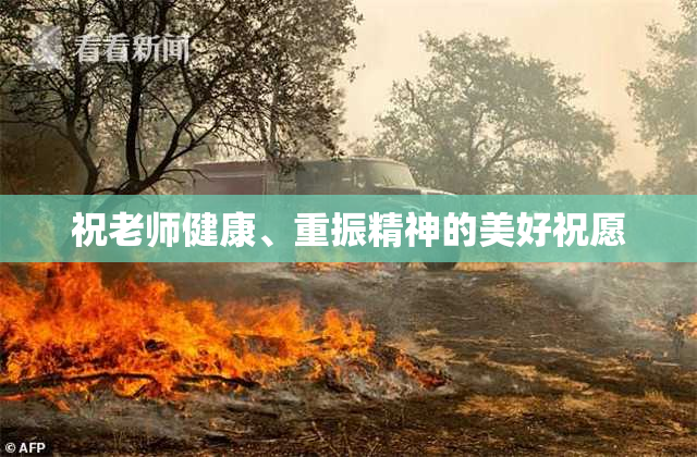 祝老师健康、重振精神的美好祝愿