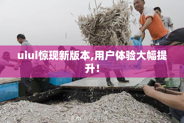 uiui惊现新版本,用户体验大幅提升！