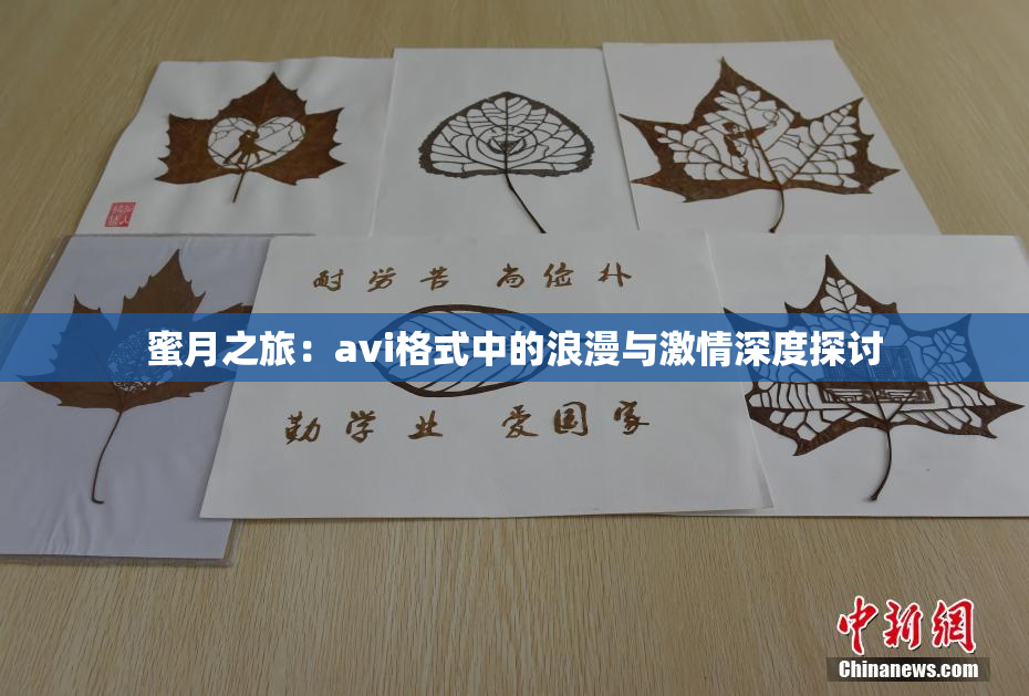 蜜月之旅：avi格式中的浪漫与激情深度探讨