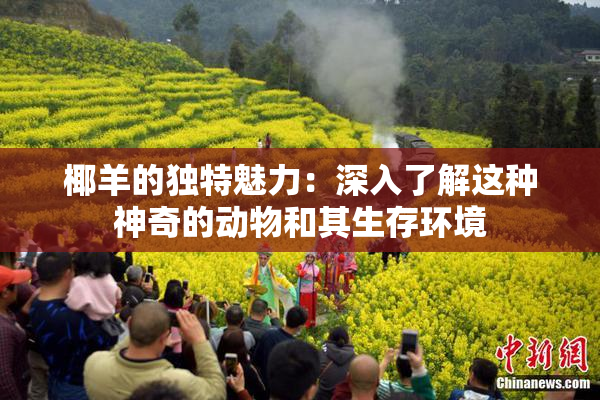 椰羊的独特魅力：深入了解这种神奇的动物和其生存环境