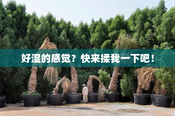 好湿的感觉？快来揉我一下吧！