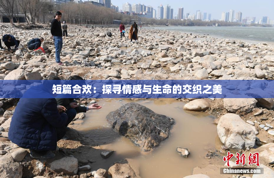 短篇合欢：探寻情感与生命的交织之美
