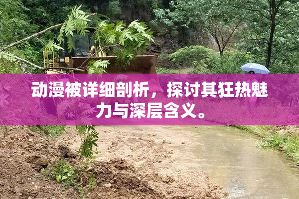 动漫被详细剖析，探讨其狂热魅力与深层含义。