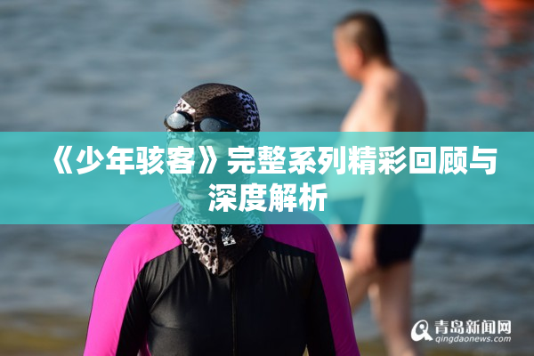 《少年骇客》完整系列精彩回顾与深度解析
