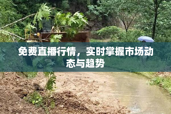 免费直播行情，实时掌握市场动态与趋势