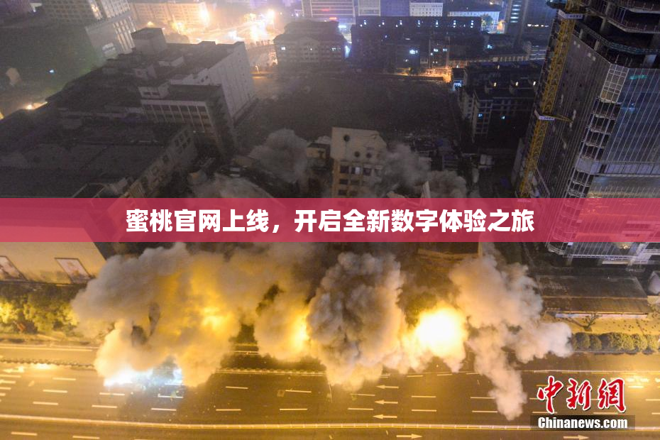 蜜桃官网上线，开启全新数字体验之旅