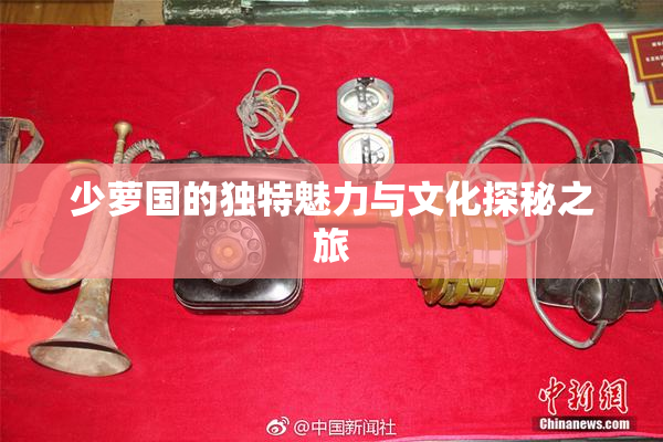 少萝国的独特魅力与文化探秘之旅