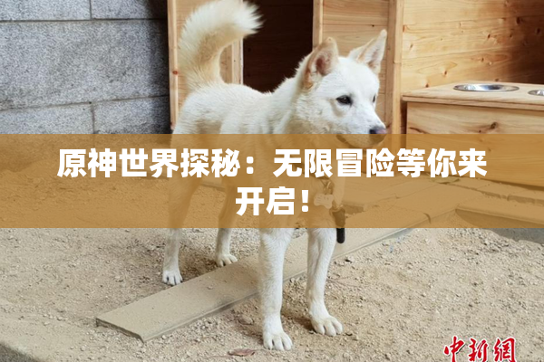 原神世界探秘：无限冒险等你来开启！