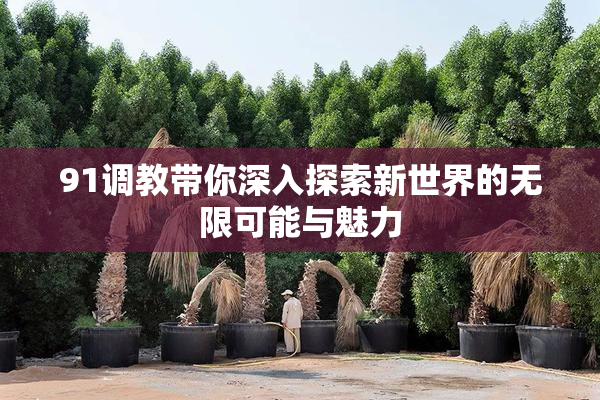 91调教带你深入探索新世界的无限可能与魅力