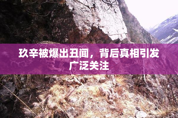 玖辛被爆出丑闻，背后真相引发广泛关注