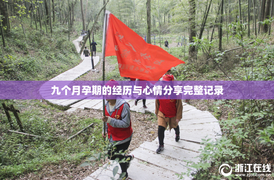 九个月孕期的经历与心情分享完整记录