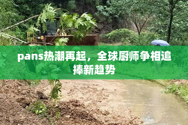pans热潮再起，全球厨师争相追捧新趋势