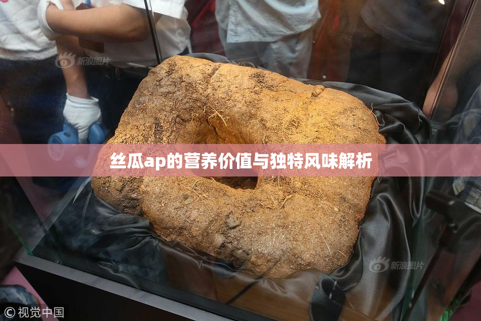 丝瓜ap的营养价值与独特风味解析