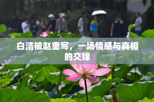 白洁被赵重写，一场情感与真相的交锋