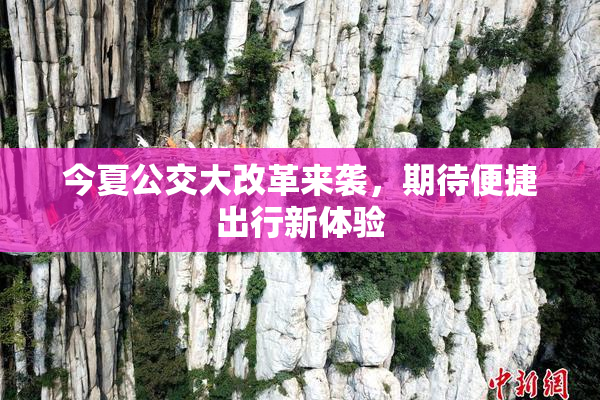 今夏公交大改革来袭，期待便捷出行新体验