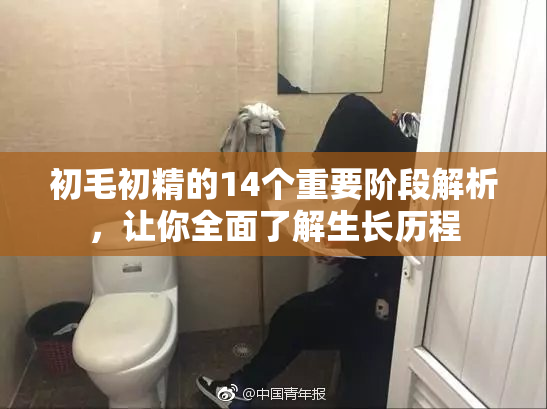 初毛初精的14个重要阶段解析，让你全面了解生长历程