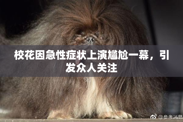 校花因急性症状上演尴尬一幕，引发众人关注