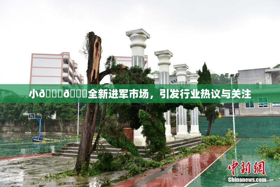小🐔🐔全新进军市场，引发行业热议与关注
