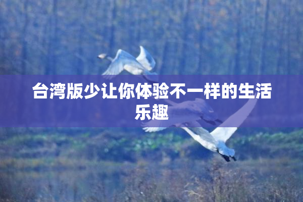 台湾版少让你体验不一样的生活乐趣