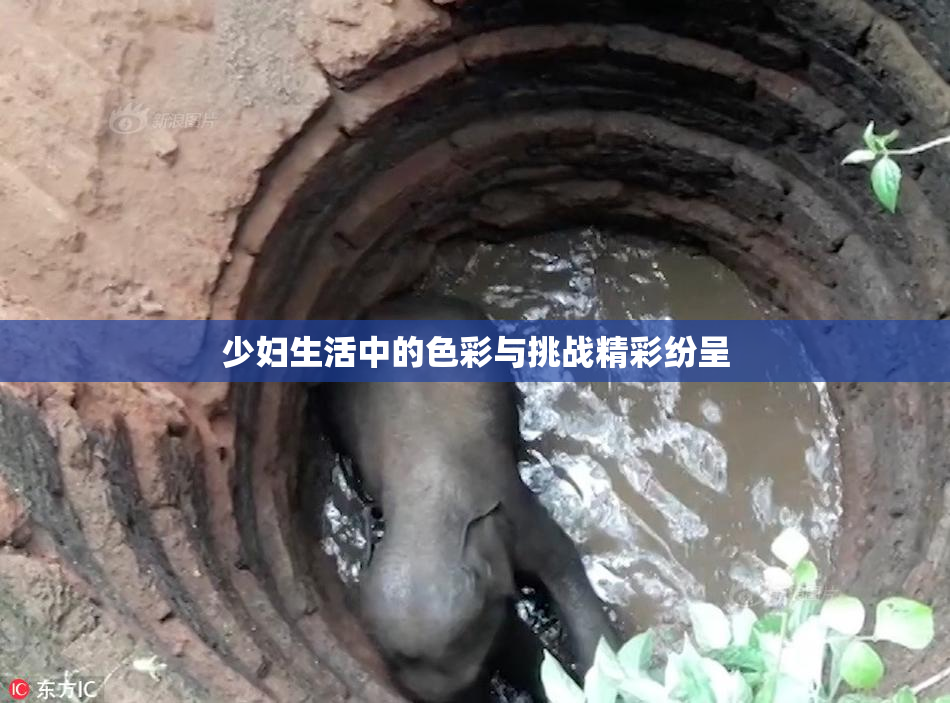 少妇生活中的色彩与挑战精彩纷呈