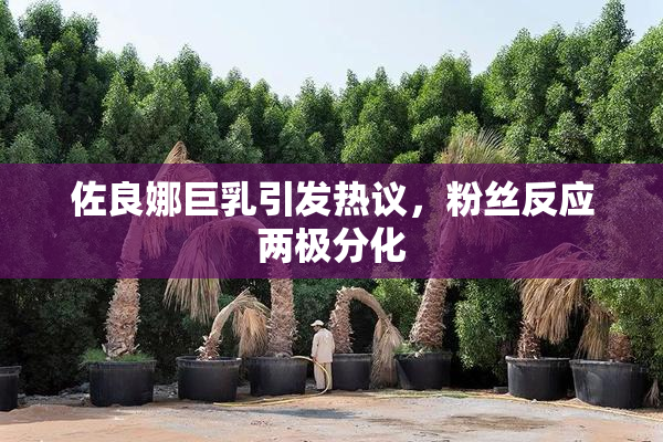 佐良娜巨乳引发热议，粉丝反应两极分化