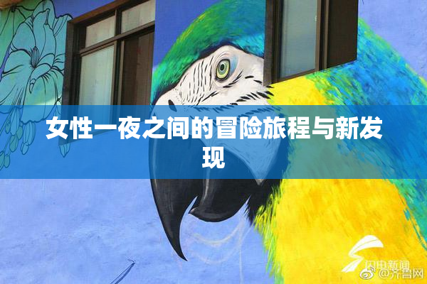 女性一夜之间的冒险旅程与新发现
