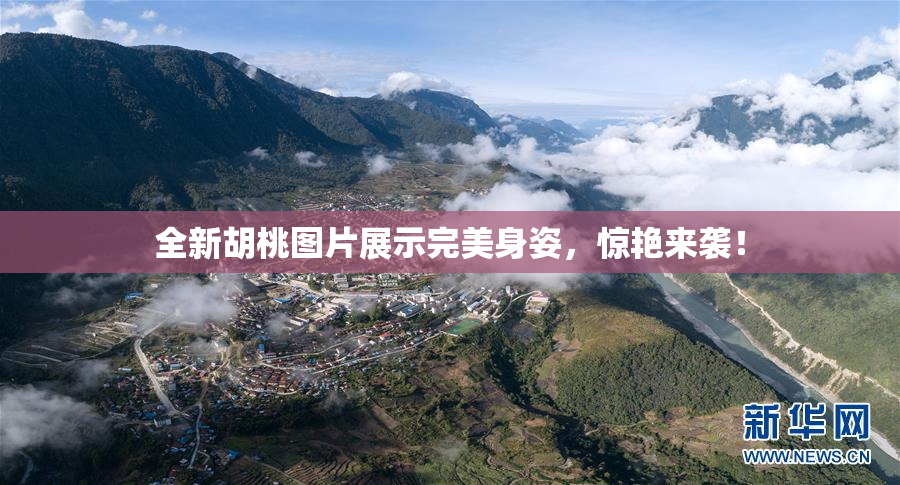 全新胡桃图片展示完美身姿，惊艳来袭！