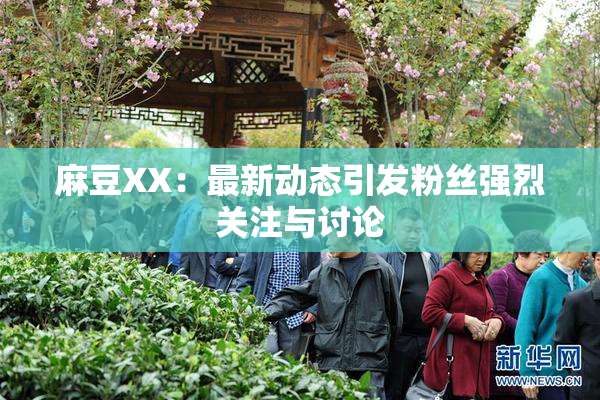 麻豆XX：最新动态引发粉丝强烈关注与讨论