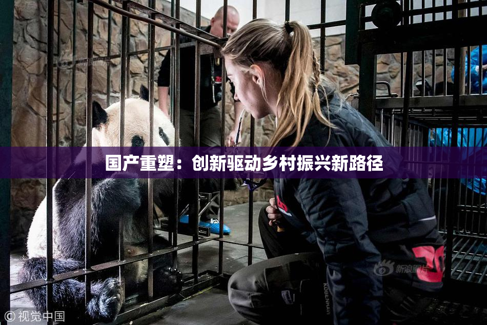 国产重塑：创新驱动乡村振兴新路径