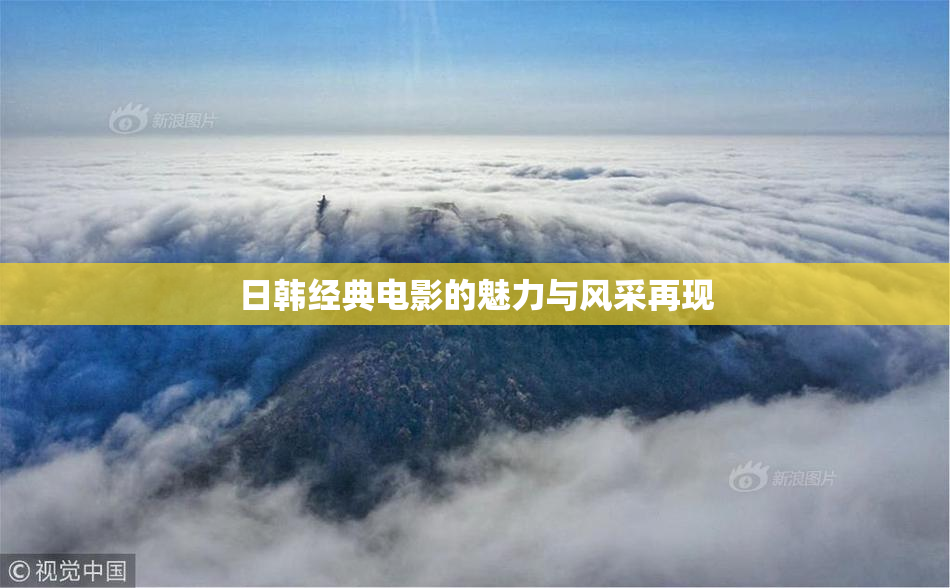 日韩经典电影的魅力与风采再现