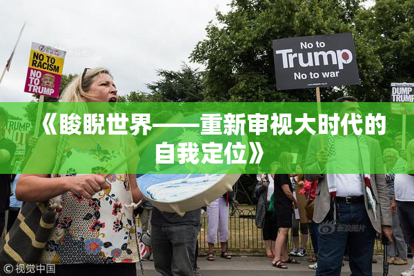 《睃睨世界——重新审视大时代的自我定位》