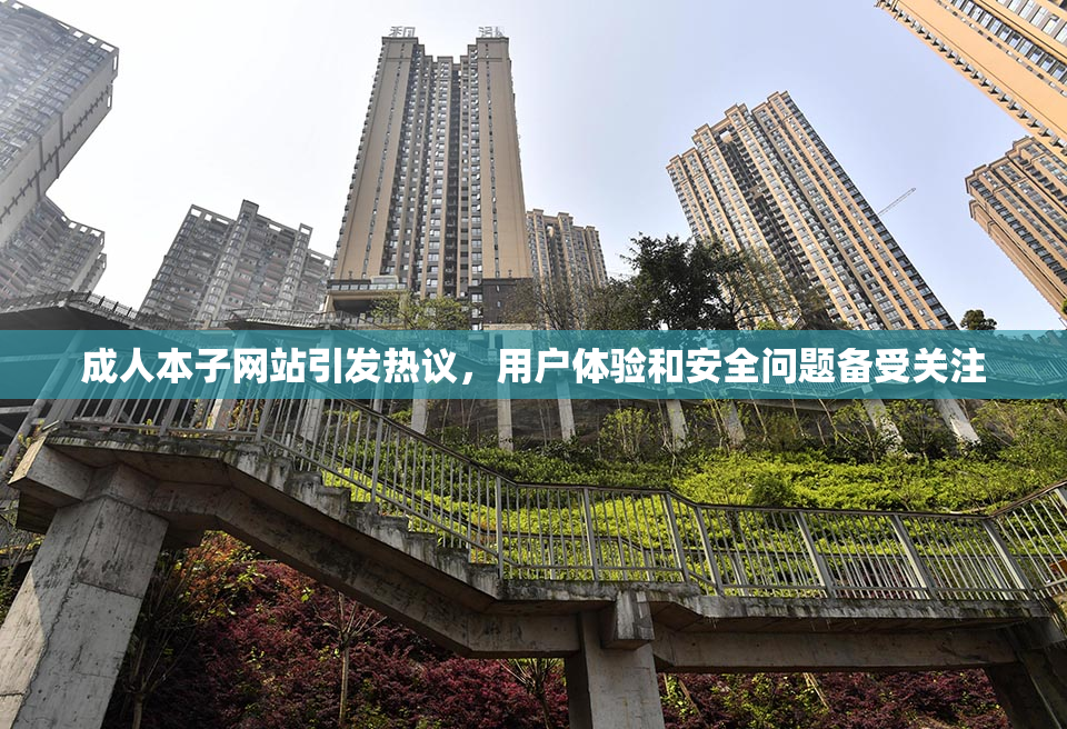 成人本子网站引发热议，用户体验和安全问题备受关注