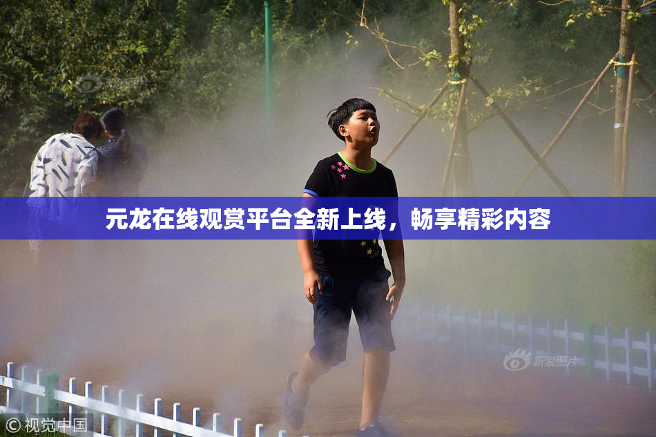 元龙在线观赏平台全新上线，畅享精彩内容