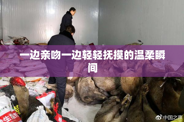 一边亲吻一边轻轻抚摸的温柔瞬间