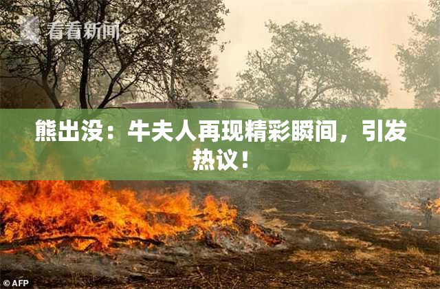 熊出没：牛夫人再现精彩瞬间，引发热议！