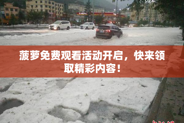 菠萝免费观看活动开启，快来领取精彩内容！