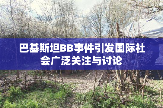 巴基斯坦BB事件引发国际社会广泛关注与讨论