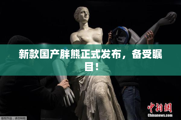 新款国产胖熊正式发布，备受瞩目！