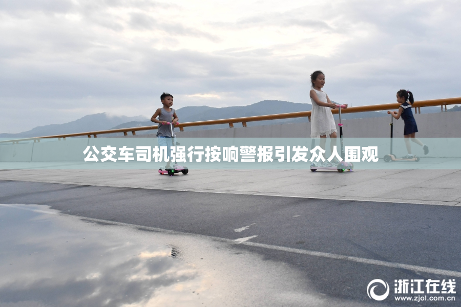 公交车司机强行按响警报引发众人围观