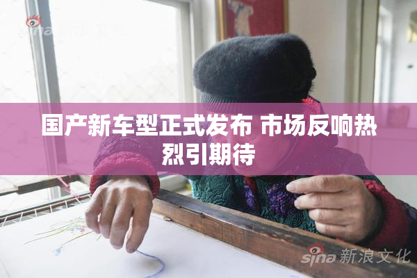 国产新车型正式发布 市场反响热烈引期待